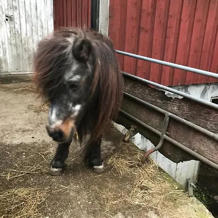 Bjorkely Gard